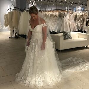 Wedding Dress and Veil